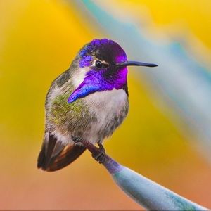 COPY - 8x10 wooden plaque